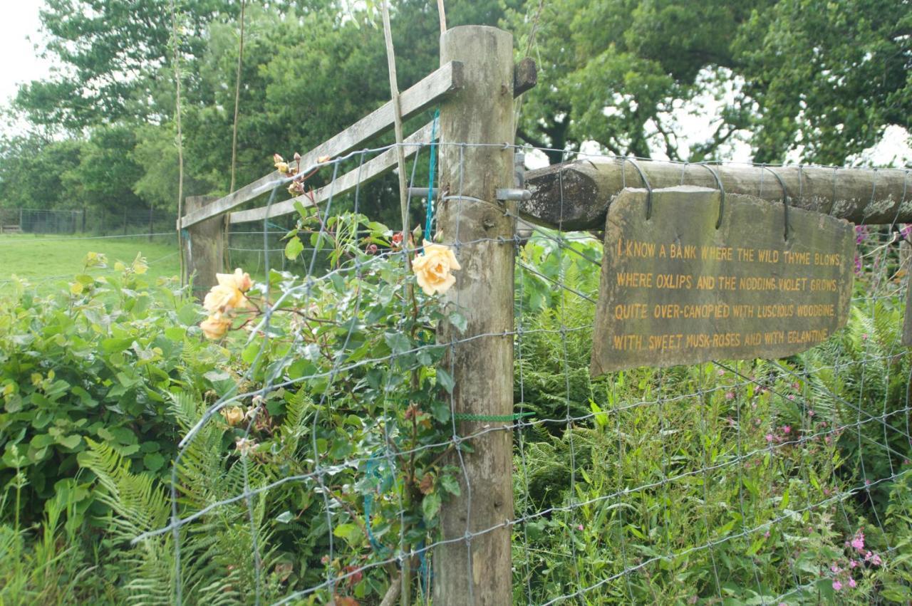 Bed and Breakfast The Old Deer House Bodmin Exterior foto